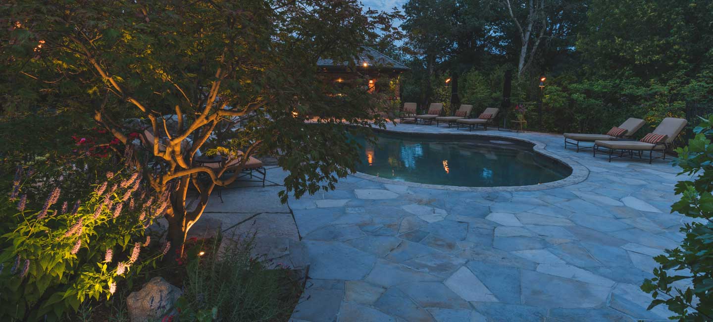 Hosting a Backyard Summer Party with Conscape Lighting